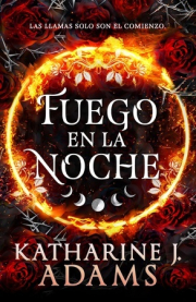 Fuego en la noche.