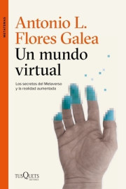 Un mundo virtual. 