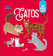 Gatos. 